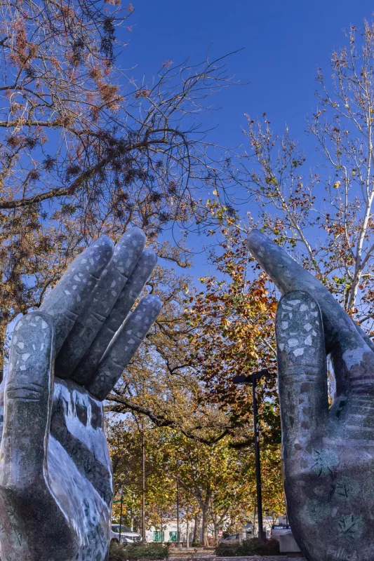 Fall Colors with Chico Hands.