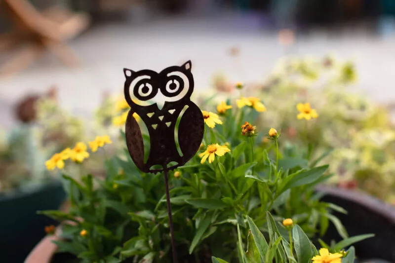 An owl, yard art, guards yellow flowers.